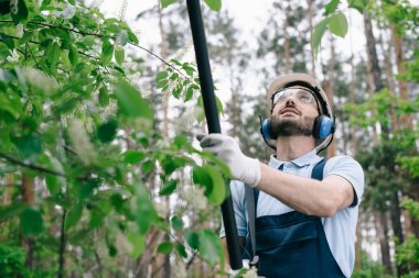 smiling gardener in helmet, protective glasses and hearing protectors trimming trees with telescopic pole saw in garden clipart