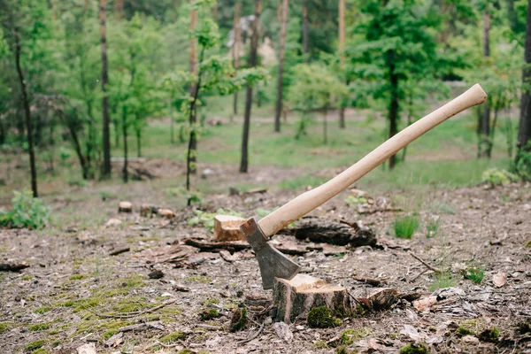 沉重的斧子木柄在森林的木树桩 — 图库照片