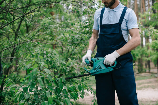 partial view of gardener trimming bushes with electric pruner 