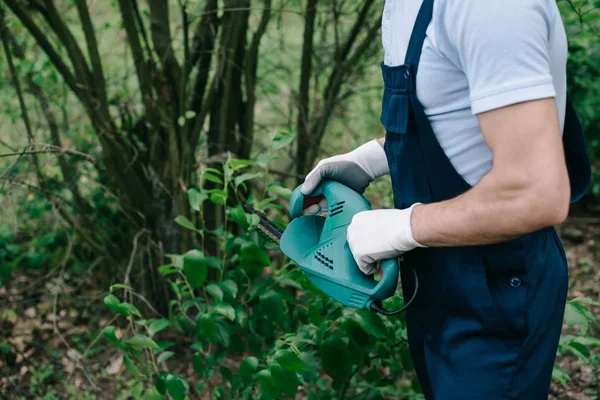 elektrik düzeltici ile çalılar budama tulum bahçıvan kısmi görünümü