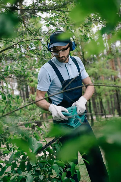 Enfoque Selectivo Del Jardinero Protectores Auditivos Arbustos Ajuste Overoles Con — Foto de Stock