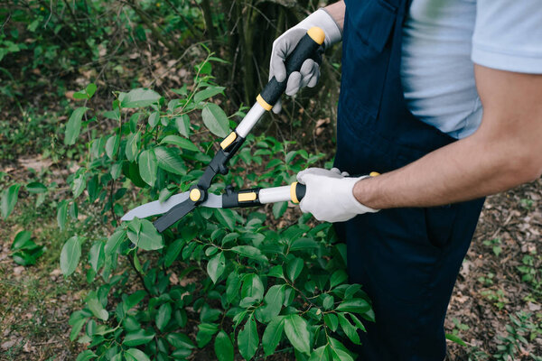 cropped view of gardener in overalls cutting bushes with trimmer in park
