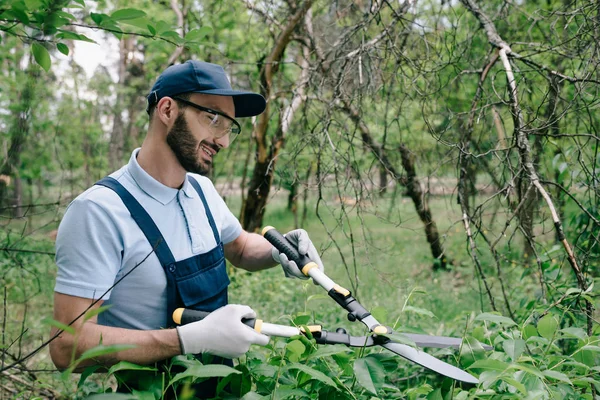 Vidám Kertész Védőszemüveget Kesztyűt Metsző Bokrok Trimmer Parkban — Stock Fotó