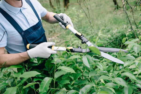 cropped view of gardener in gloves pruning bushes with trimmer in garden