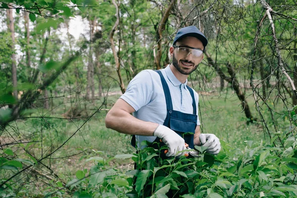 Jardinero Sonriente Gafas Protectoras Gorra Mirando Cámara Mientras Poda Arbustos —  Fotos de Stock