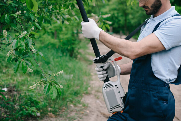 cropped view of gardener in overalls trimming trees with telescopic pole saw in garden