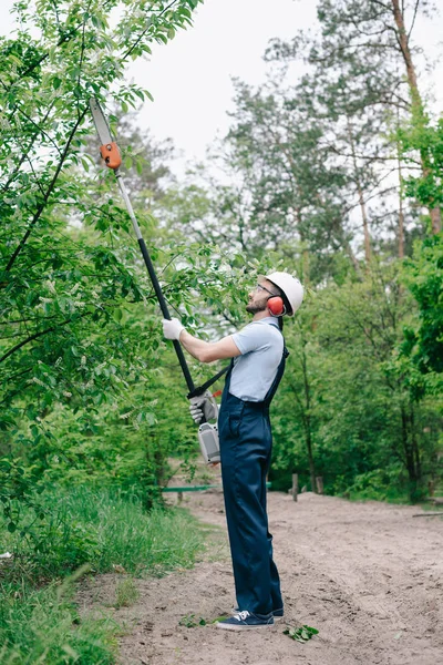 Kertész Sisak Overall Vágás Fák Teleszkópos Pole Látott Kertben — Stock Fotó