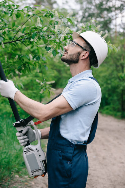 attentive gardener in helmet and protective glasses trimming trees with telescopic pole saw in garden