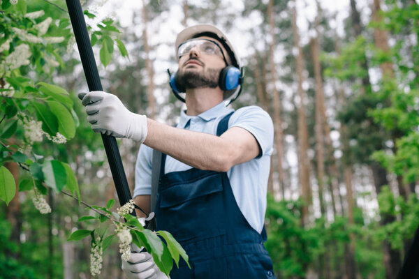 attentive gardener in protective glasses and hearing protectors trimming trees with telescopic pole saw in garden