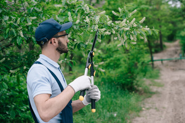 садовник в комбинезоне, шапочка и перчатки обрезка деревьев с триммером в парке
