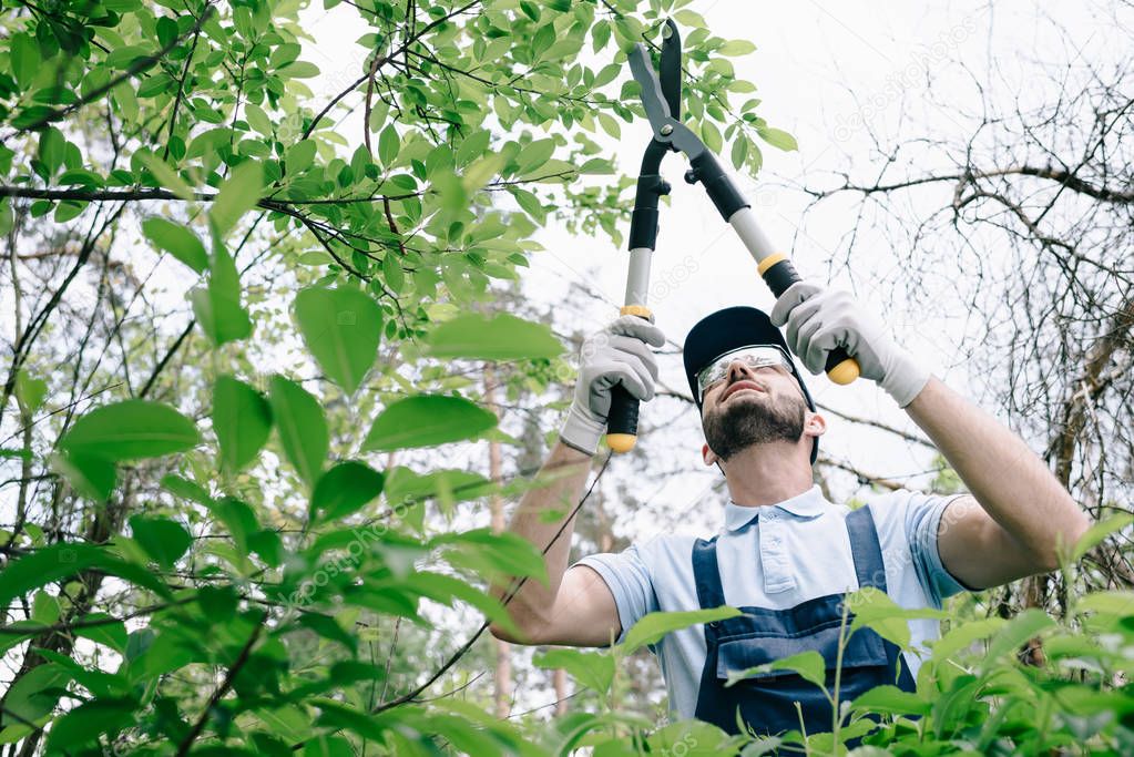 selective focus of gardener in protective glasses and cap pruning bushes with trimmer in park