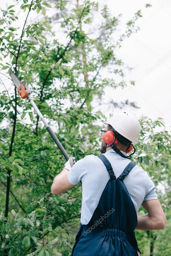 back view of gardener in helmet trimming trees with telescopic pole saw