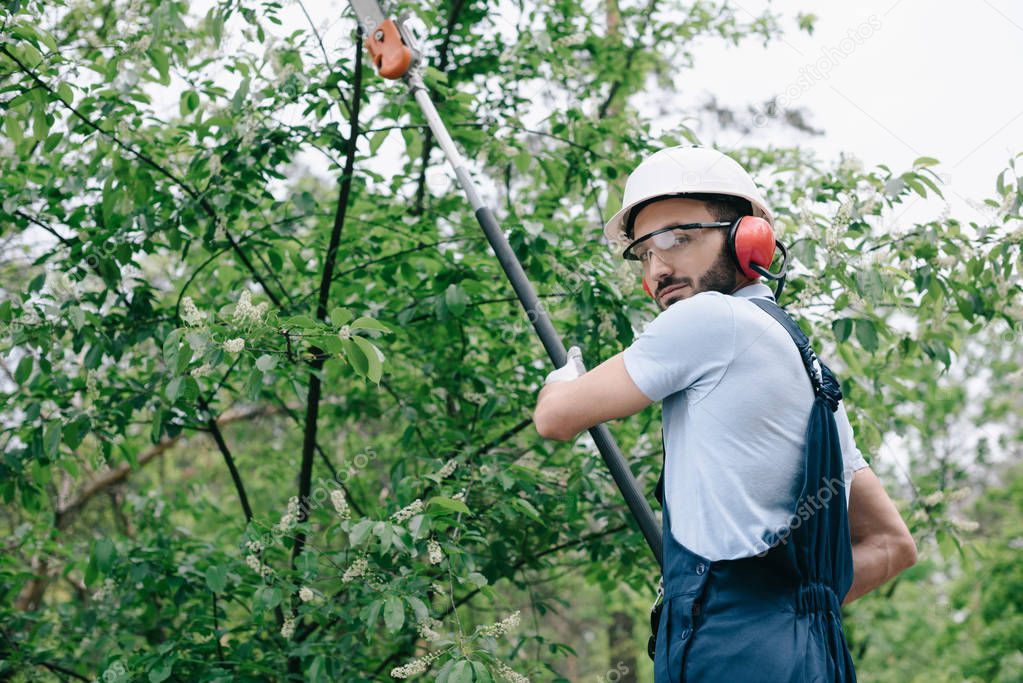 serious gardener in helmet trimming trees with telescopic pole saw and looking at camera