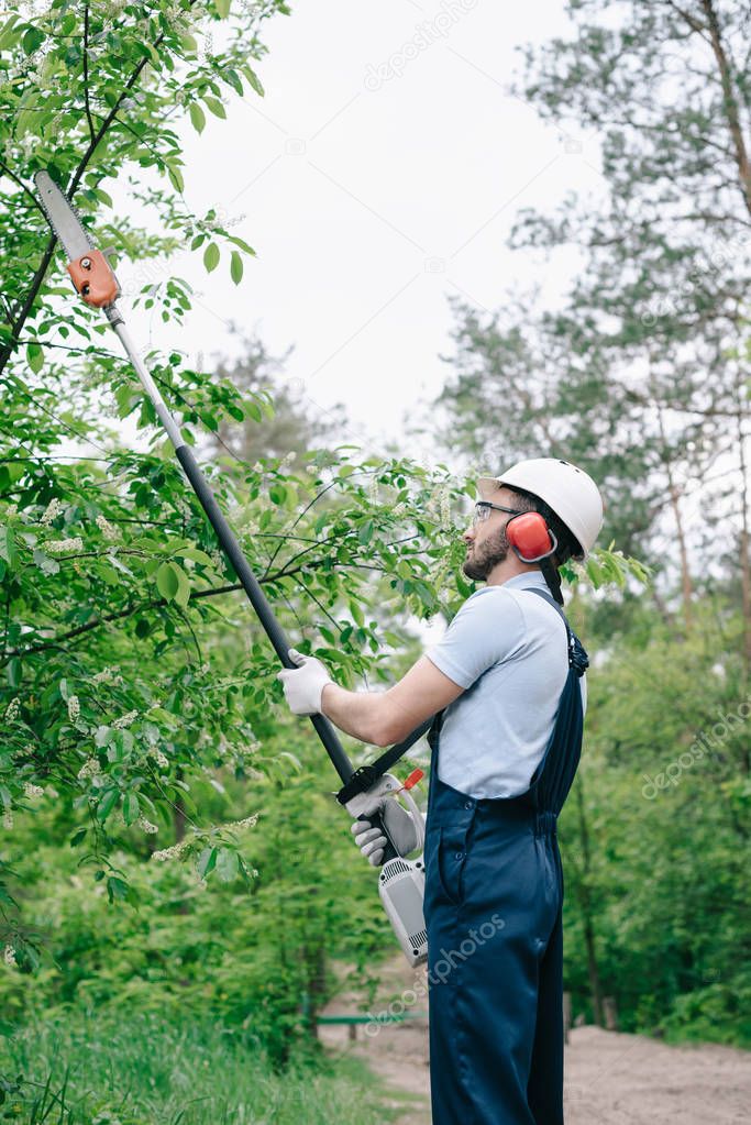 gardener in overalls and helmet trimming trees with telescopic pole saw in garden