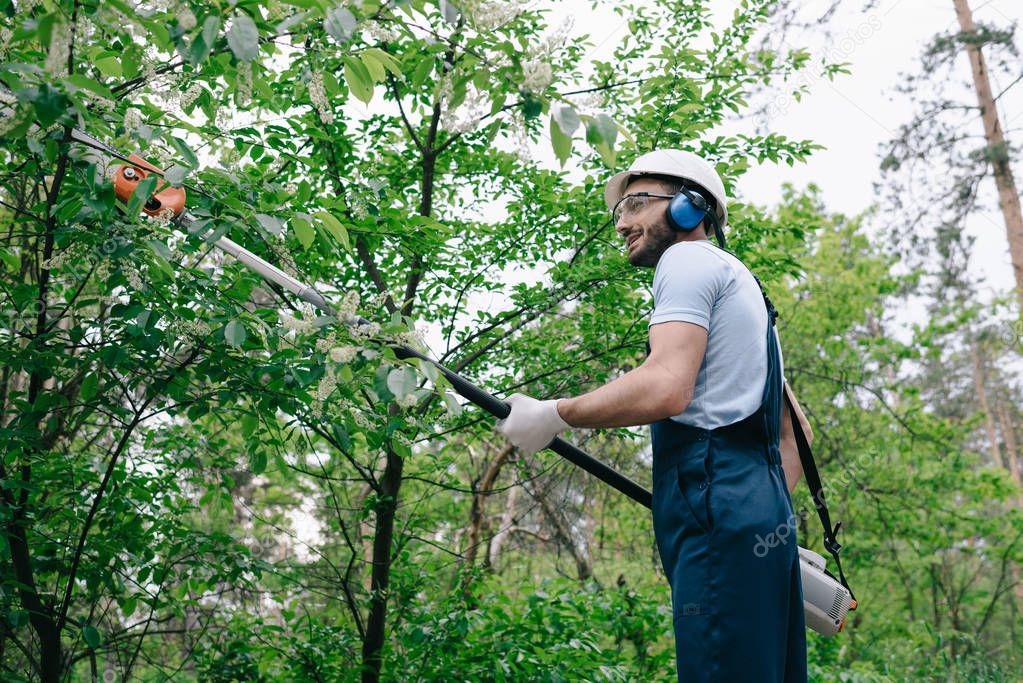 smiling gardener in overalls and hearing protectors trimming trees with telescopic pole saw in park