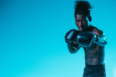masmavi arka planda kamera bakarak boks eldivenleri içinde çıplak Afrikalı Amerikan sporcu