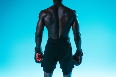 mavi arka planda şort ve boks eldivenleri kas Afrikalı Amerikan sporcunun geri görünümü