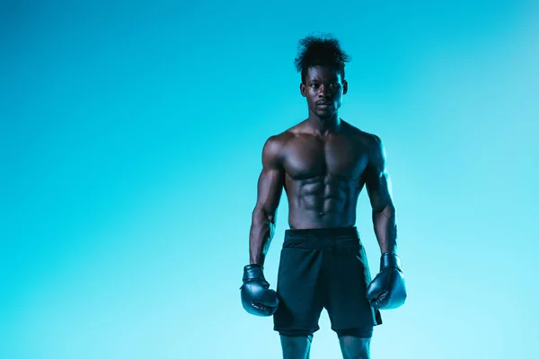 Sebevědomý Afroamerický Boxer Svalovým Trupem Který Hledí Kameru Modrém Pozadí — Stock fotografie