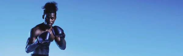 Colpo Panoramico Pugilato Sportivo Afroamericano Sfondo Blu Con Spazio Copia — Foto Stock