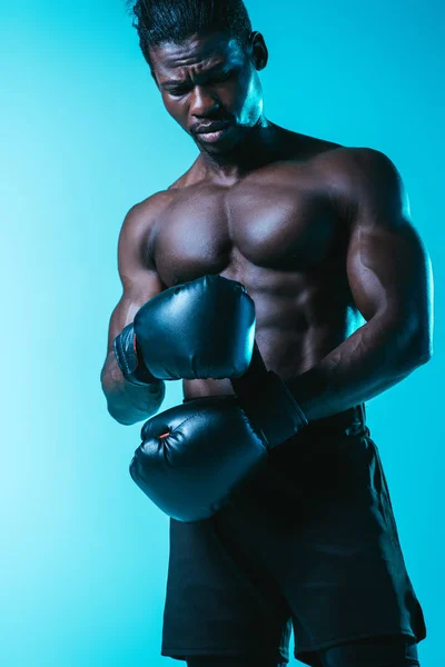 Sério Africano Americano Desportista Fixação Luva Boxe Fundo Azul — Fotografia de Stock