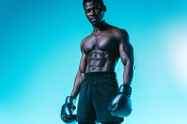 shirtless, muscular african american boxer posing at camera on blue background