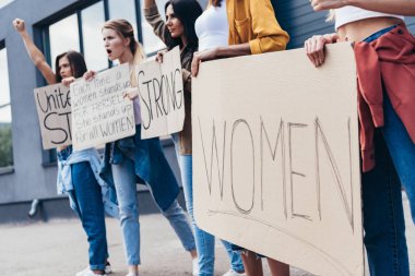 cropped view of feminists holding placard with word women on street clipart