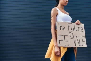 cropped view of feminist with word perfect on arm holding placard with inscription the future is female clipart
