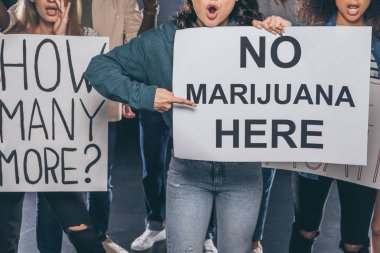cropped view of emotional girl pointing with finger at placard with no marijuana here lettering near multicultural people on black  clipart