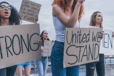 afro-amerikan kadın pankart tutan ve kızlarla çığlık seçici odak 