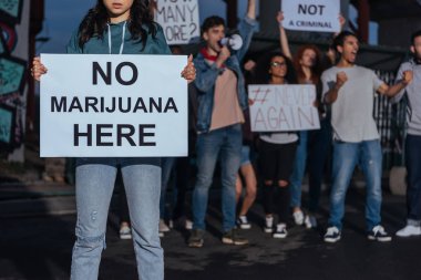cropped view of woman holding placard with no marijuana lettering near screaming multicultural people  clipart