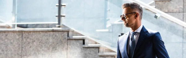 Panoramic Shot Handsome Man Suit Glasses — Stock Photo, Image