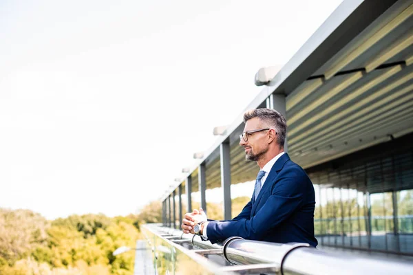 Side View Handsome Businessman Formal Wear Glasses Looking Away — Stock Photo, Image