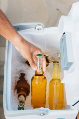 cropped view of young man taking bottle of beer from portable fridge clipart