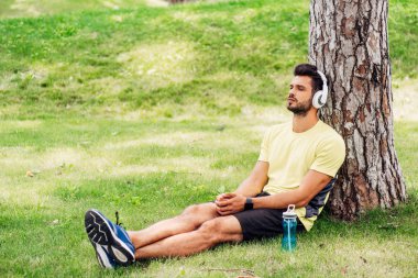 kulaklık yakışıklı adam ağaç gövdesi yakınında oturan ve müzik dinleme 