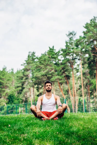 Handsome Bearded Man Sitting Crossed Legs Green Lawn — Stock Photo, Image