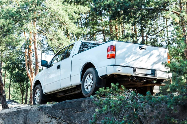 Low Angle View White Luxury Car Trees Woods — Stock Photo, Image