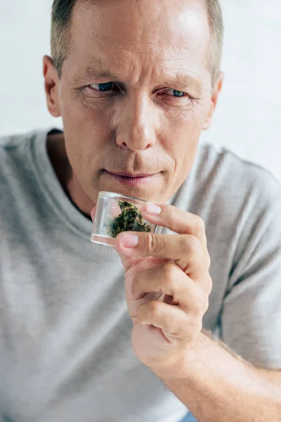 Homem Bonito Shirt Cheirando Cannabis Medicinal Apartamento — Fotografia de Stock
