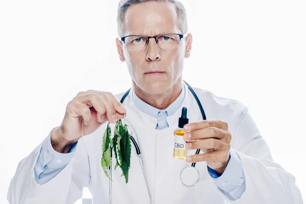 Schöner Arzt Weißen Kittel Mit Cannabisöl Und Marihuana Isoliert Auf — Stockfoto