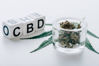 beyaz arka plan üzerinde harfler cbd, tıbbi esrar ve marihuana ile küpler 