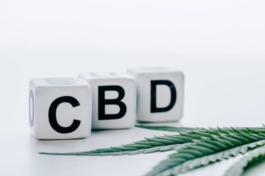 cubes with lettering cbd and marijuana on white background  clipart