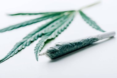 beyaz arka plan üzerinde künt ve marihuana seçici odak 