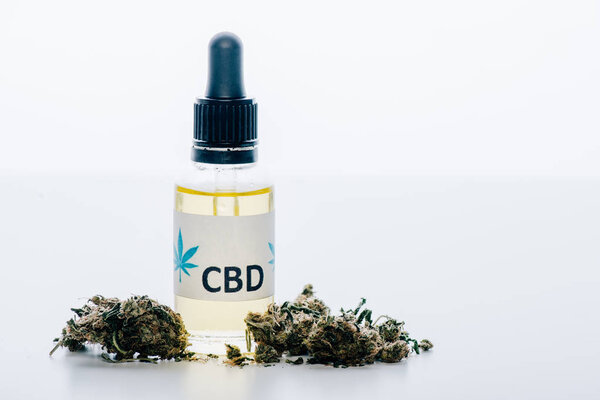 масло конопли в бутылке с надписью CBD и медицинской каннабиса на белом фоне

