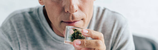 panoramic shot of man smelling medical cannabis in apartment 