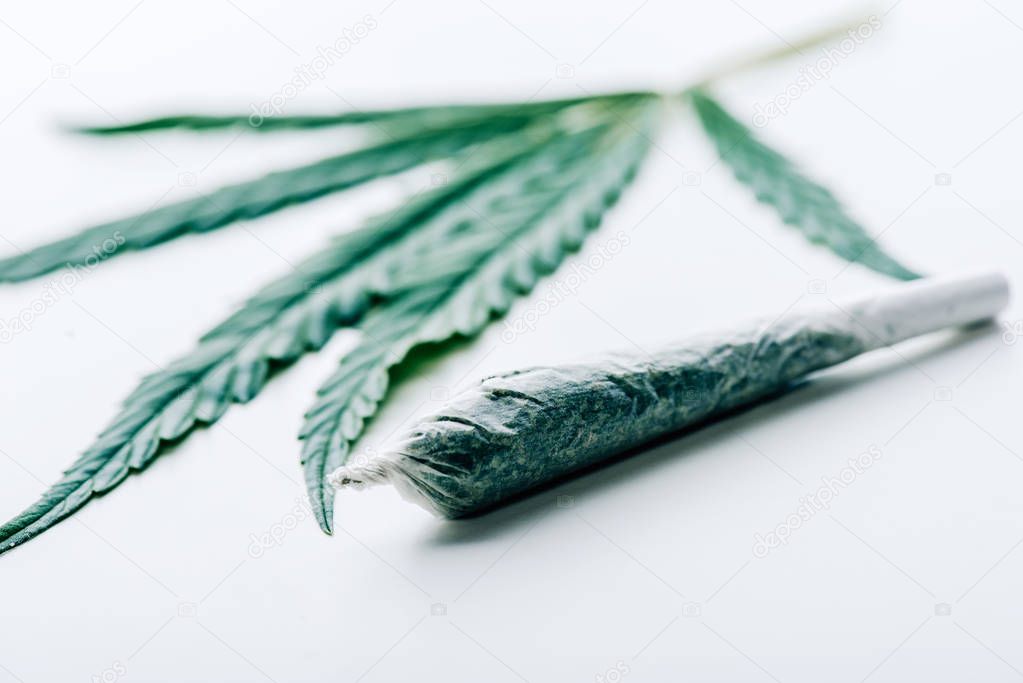 selective focus of blunt and marijuana on white background 