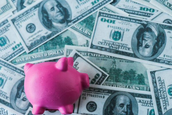 вид розовой копилки на банкнотах в долларах
 