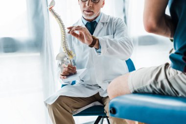 cropped view of man sitting near doctor gesturing while holding spine model  clipart