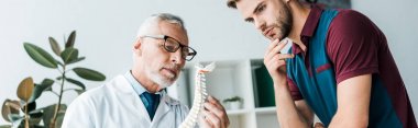 doktor yakınında omurga modeli bakarak adam panoramik çekim 