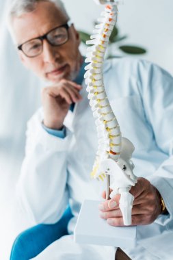 beyaz ceket ve gözlük mutlu doktor elinde omurga modeli seçici odak 