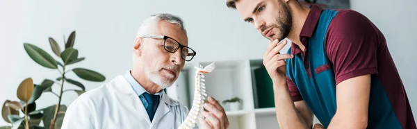 Panoramic Shot Man Looking Spine Model Doctor — Stock Photo, Image