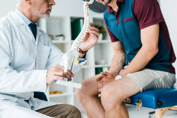 hasta yakınında omurga modeli tutan sakallı doktor kırpılmış görünümü 